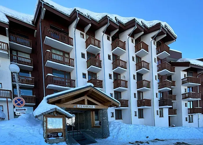 Cosy 3 Pers, Balcon Sud-ouest, Aux Pieds - Fr-1-351-64 La Plagne